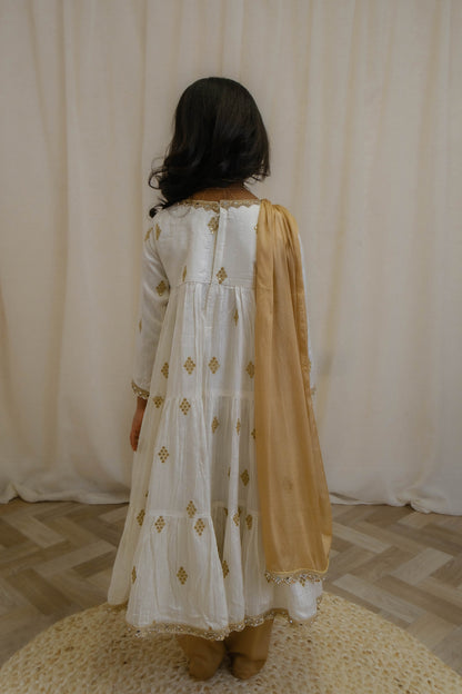 The Anaya Set